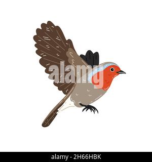Robin in flight on a white background. Vector illustration Stock Vector