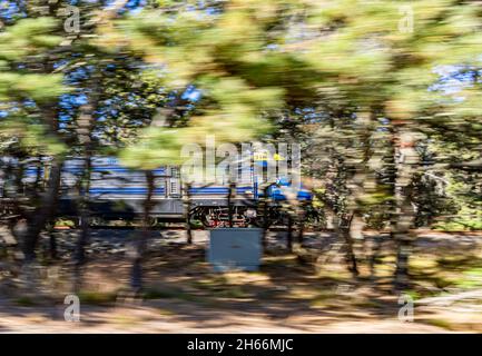 Long Island Railroad train moving quickly through Napeague stretch, Amagansett, NY Stock Photo