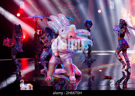 Cologne, Germany. 13th Nov, 2021. The character 'The Axolotl' delivers a love letter to guest Winterscheidt in the Prosieben show 'The Masked Singer'. Credit: Rolf Vennenbernd/dpa/Alamy Live News Stock Photo