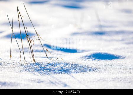 Closeup of deep clean fresh snow, cold winter concept. Stock Photo