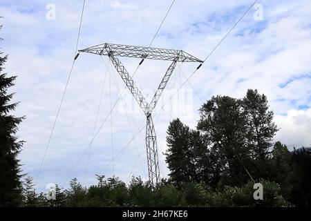 Giant power lines tower above trees in summer Stock Photo