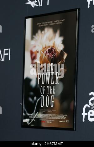 Los Angeles, USA. 11th Nov, 2021. Atmosphere at the AFI Fest - The Power of The Dog LA Premiere at TCL Chinese Theater IMAX on November 11, 2021 in Los Angeles, CA (Photo by Katrina Jordan/Sipa USA) Credit: Sipa USA/Alamy Live News Stock Photo