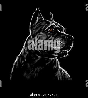 American Pit Bull Head Portrait, staffordshire terrier on black background. Vector illustration of paints Stock Vector