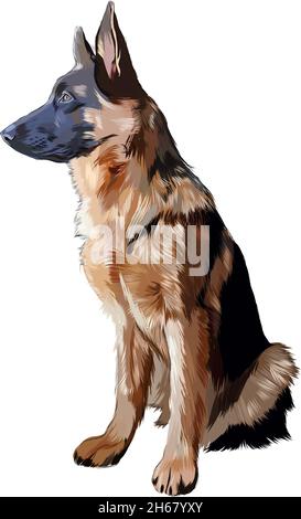 Realistic pencil drawing of a standing german shepherd on Craiyon