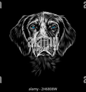 Head portrait of Kurzhaar pointing dog breed, german shorthaired pointer, spaniel on a black background. Stock Vector