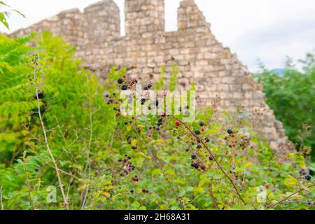 old stone wall overgrown with various grass Stock Photo