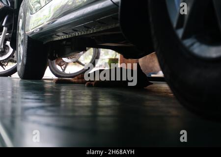 Cat sleeping under a car Stock Photo