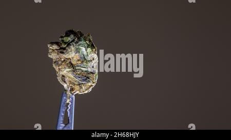 A close-up shot of a thin piece of dried cannabis isolated on a brown background Stock Photo