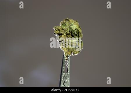 A close-up shot of a thin piece of dried cannabis isolated on a brown background Stock Photo