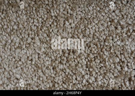 Carpet covering background. Pattern and texture of gray colour carpet. Copy space . High quality photo Stock Photo