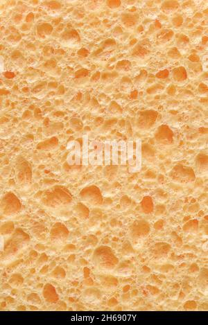 Backgrounds and textures: porous organic abstract, natural sponge surface closeup shot Stock Photo