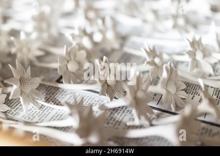 ceramic unglazed handmade biscuit flowers at Gladstone Pottery Museum, Longton, Stoke on trent Stock Photo