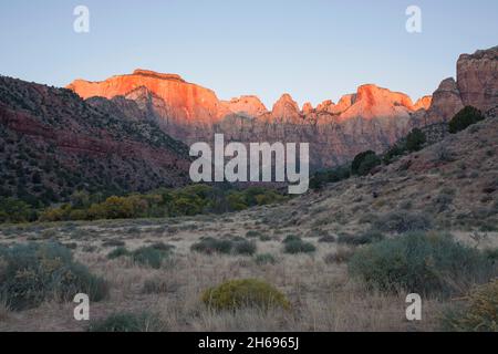 Zion National Park, Utah, USA. View across desert brush to the Towers of the Virgin, sunrise, the West Temple and Altar of Sacrifice prominent. Stock Photo