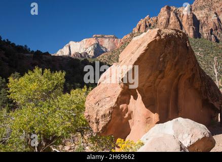 Zion National Park, Utah, USA. View to the West Temple from hillside above Pine Creek, autumn, huge boulder in foreground. Stock Photo