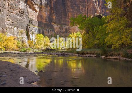 Zion National Park, Utah, USA. View along the tranquil Virgin River to the towering sandstone cliffs of the Temple of Sinawava, autumn. Stock Photo