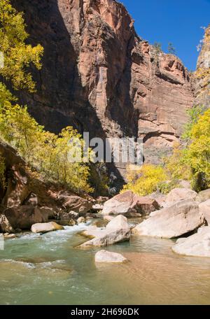 Zion National Park, Utah, USA. View along the boulder-strewn Virgin River to the towering sandstone cliffs of the Temple of Sinawava, autumn.