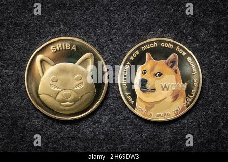 Shiba Inu cryptocurrency coin next to a Dogecoin Stock Photo