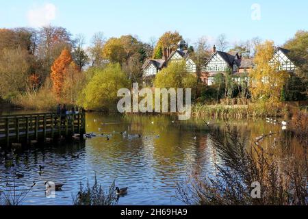 Old Warke Dam in Worsley Woods, Worsley, Salford, Greater Manchester Stock Photo