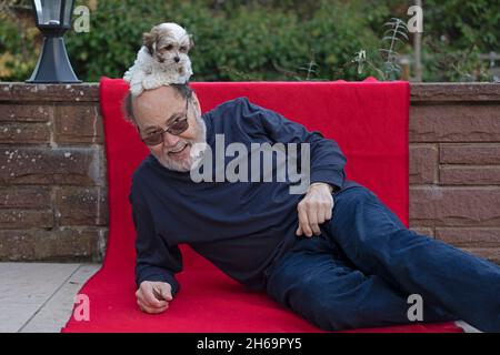 Bolobka Zwetna toy dog pup sitting on head of elderly man, Germany Stock Photo