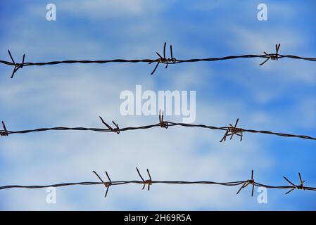 Barbed wire with the sky in the background Stock Photo