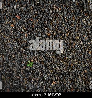Dark grunge texture with small light pebbles Stock Photo