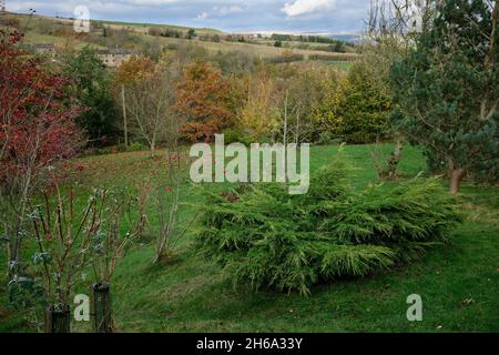 November and autumn view across Nidderdale Stock Photo