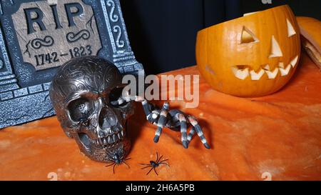 Halloween decor Stock Photo