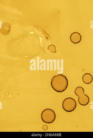 Watercolor Yellow Background. Pastel Light Spots. Orange Vintage Pattern. Spring Aquarel Design. Yellow Background. Pastel Art Blots. Golden Rough Pat Stock Photo