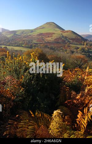 Autumn views of Caer Caradoc from The Lawley, Shropshire Stock Photo
