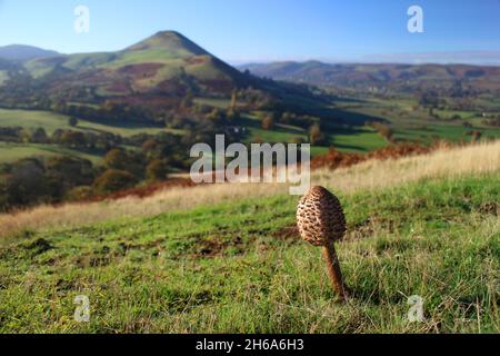 Autumn views of Caer Caradoc from The Lawley, Shropshire Stock Photo