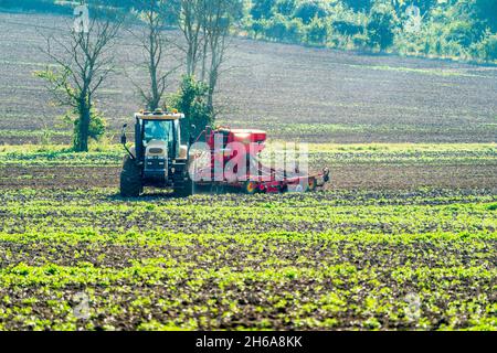 Telephoto shot of a Cat Challenger MT 765C Tractor towing a red Vaderstad rapid seed driller, (Rapid A 400-800s), across a field during the autumn. Stock Photo