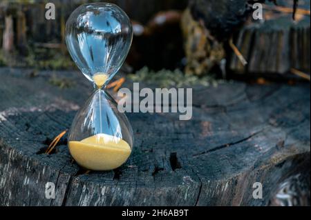 Sand watch on old tree stump background. Stock Photo