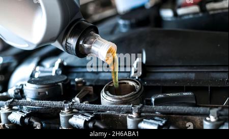 Pouring synthetic motor oil in diesel engine. Stock Photo