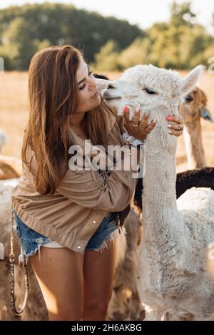 Attractive brown-haired woman with long hair hugs white alpaca by head of alpaca on farm. Agricultural industry. Agrotourism. Natural materials. Beaut Stock Photo