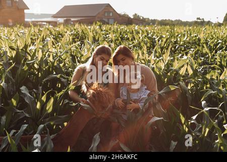 Two young women 26-30 years old and little girl 3 years old together with alpacas are sitting in field green grass . Agricultural industry . Beauty of