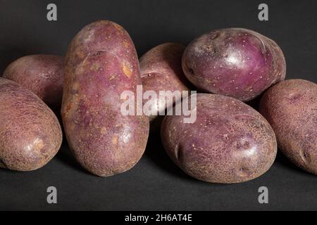 red potato on black background Stock Photo