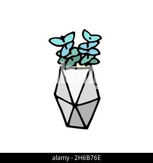 Succulent doodle print. Home plants in modern flowerpot Stock Vector