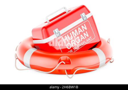 Portable fridge for transporting donor organs with lifebelt, 3D rendering isolated on white background Stock Photo