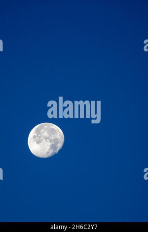 Moon in the waning gibbous phase with blu sky in October, vertical Stock Photo