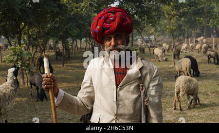 High-Resolution Image: Shepherd Herding Sheep #rajasthansheep, #indianshepherd, #thar desertsheep, #rajasthanlandscape, #ruralindia, Stock Photo