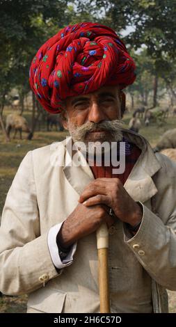 High-Resolution Image: Shepherd Herding Sheep #rajasthansheep, #indianshepherd, #thar desertsheep, #rajasthanlandscape, #ruralindia, Stock Photo