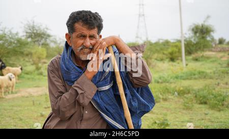 High-Resolution Image: Shepherd Herding Sheep #rajasthansheep, #indianshepherd, #thar desertsheep, #rajasthanlandscape, #ruralindia, Stock Photo