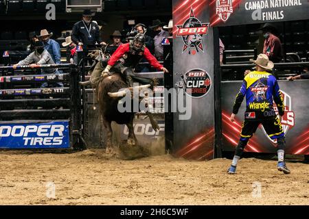 Edmonton, Canada. 13th Nov, 2021. Jake Gardnier aboarrd 'Hot Tomale' during the PBR (Professional Bull Riders/Riding) Canada National Championships at Rogers Place in Edmonton. Credit: SOPA Images Limited/Alamy Live News Stock Photo