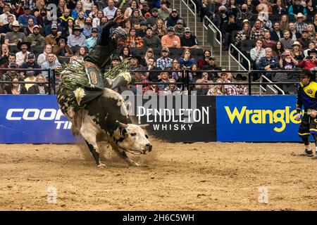 Edmonton, Canada. 13th Nov, 2021. Jordan Hansen aboard 'Last Rights' during the PBR (Professional Bull Riders/Riding) Canada National Championships at Rogers Place in Edmonton. Credit: SOPA Images Limited/Alamy Live News Stock Photo