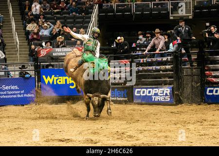 Edmonton, Canada. 13th Nov, 2021. Daylon Swearingen seen during the PBR (Professional Bull Riders/Riding) Canada National Championships at Rogers Place in Edmonton. (Photo by Ron Palmer/SOPA Images/Sipa USA) Credit: Sipa USA/Alamy Live News Stock Photo