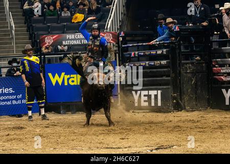 Edmonton, Canada. 13th Nov, 2021. Dakota Louis aboard 'Al Capone' during the PBR (Professional Bull Riders/Riding) Canada National Championships at Rogers Place in Edmonton. (Photo by Ron Palmer/SOPA Images/Sipa USA) Credit: Sipa USA/Alamy Live News Stock Photo