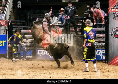 Edmonton, Canada. 13th Nov, 2021. Griffin Sheltzer aboard 'Sure Shot' during the PBR (Professional Bull Riders/Riding) Canada National Championships at Rogers Place in Edmonton. (Photo by Ron Palmer/SOPA Images/Sipa USA) Credit: Sipa USA/Alamy Live News Stock Photo