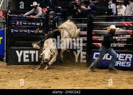 Edmonton, Canada. 13th Nov, 2021. Lonnie West aboard 'Phantom Fury' during the PBR (Professional Bull Riders/Riding) Canada National Championships at Rogers Place in Edmonton. (Photo by Ron Palmer/SOPA Images/Sipa USA) Credit: Sipa USA/Alamy Live News Stock Photo