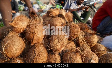 High-quality images of raw and ripe coconuts Stock Photo
