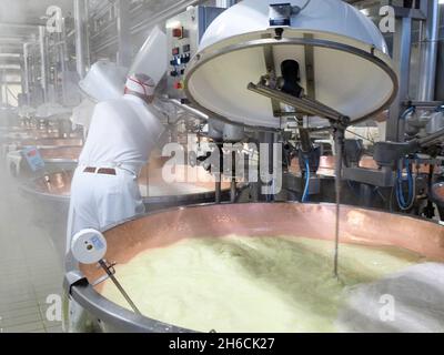 Manufacturing Parmigiano Reggiano parmesan cheese in 2064 diary farm in Fidenza Italy Stock Photo